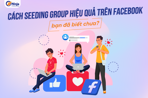 Hé lộ cách seeding group hiệu quả