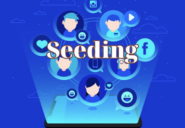 Giải đáp: Seeding group facebook là gì?