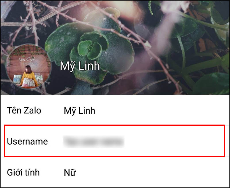 Tìm kiếm từ Username