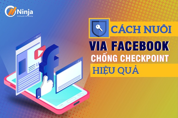 Chia sẻ cách nuôi via facebook hiệu quả